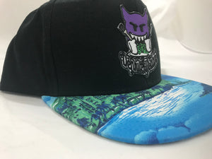 Signature Summer Snapback